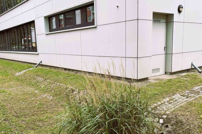 Regenwasser als Ressource: Grünflächen, Mulden und Rigolen helfen, Niederschlagswasser vor Ort zu sammeln, versickern zu lassen und sinnvoll zu nutzen. © Drees & Sommer