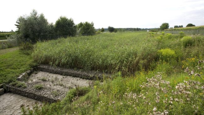 Retentionsbodenfilter an der Schussen © Hochschule Biberach