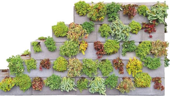 Über die integrierten Auslässe lässt sich die Jasto Green Wall-Kombi komfortabel bepflanzen. © Jasto Baustoffwerke