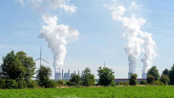 © Wim van 't Einde auf Unsplash